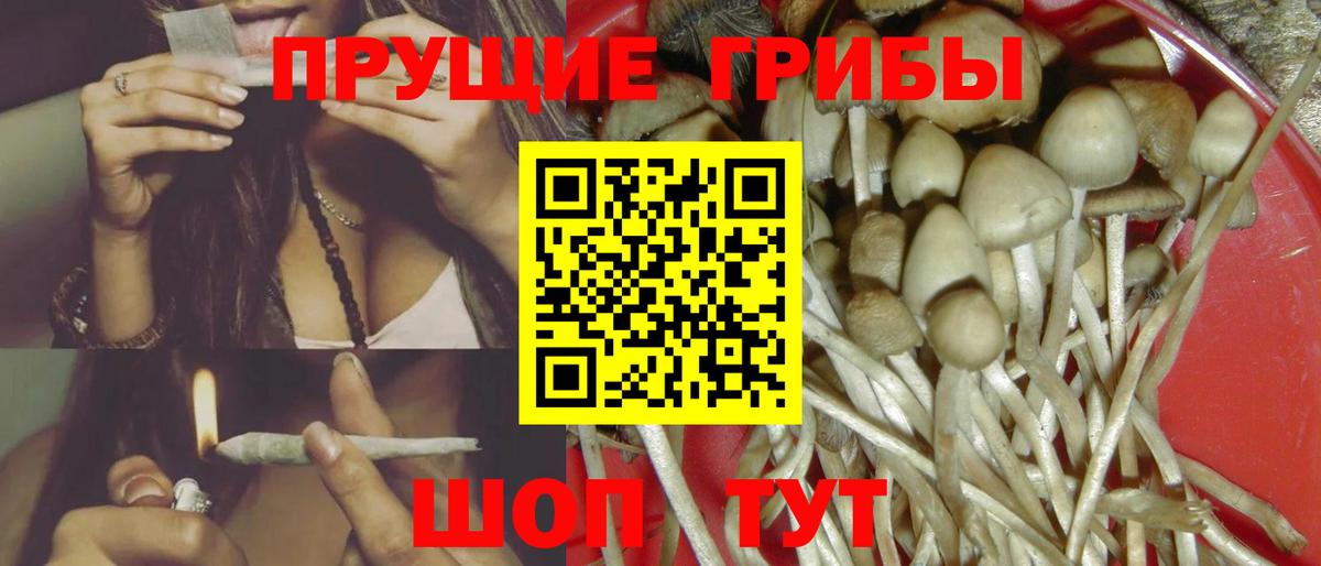 Галлюциногенные грибы GOLDEN TEACHER Бахчисарай