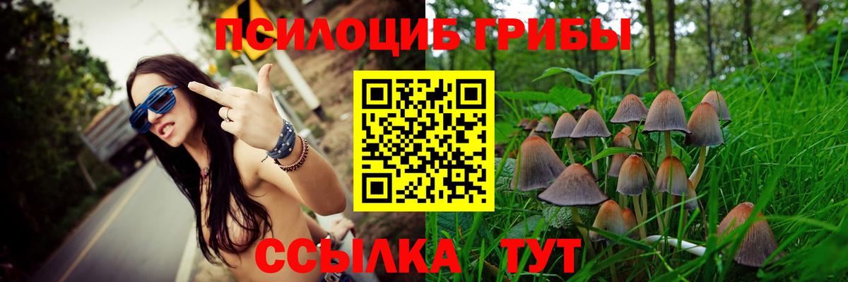 закладка  Вход с VPN  Бахчисарай  Псилоцибиновые грибы мухоморы 